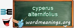 WordMeaning blackboard for cyperus alternifolius